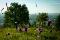 Plein Air : 6 idées de sorties