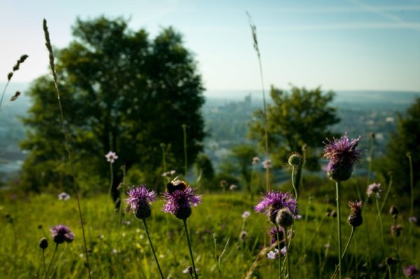 Plein Air : 6 idées de sorties