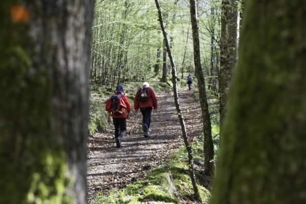 Balades et randonnées