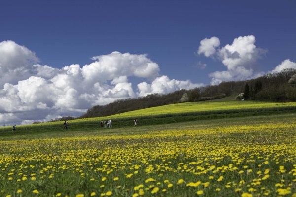 Randonnée « Les Portes de l’Yonne » à Villeneuve-sur-Yonne © Pierre Pichon