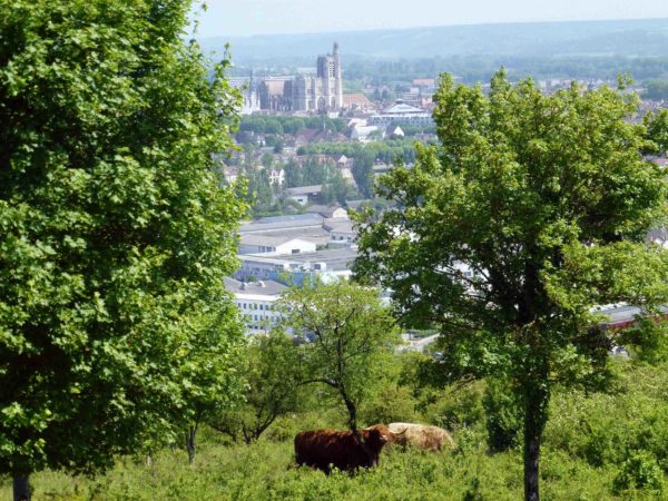 Venir dans le Sénonais