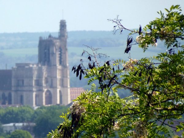 La cathédrale de Sens vue depuis la boucle des Carrelottes, à Saint-Martin-du-Tertre © Office de Tourisme de Sens et du Sénonais