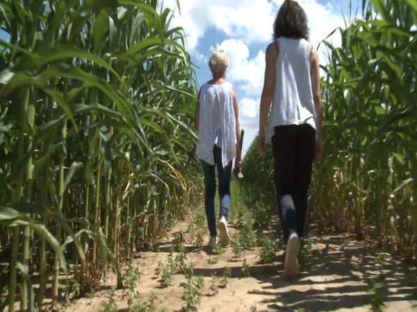 Épisode 2 « Le labyrinthe géant de la Ferme des Glaciers »