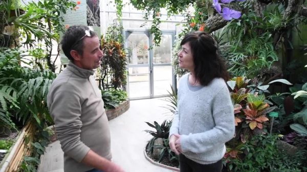 Épisode 6 « Dans les serres tropicales du Parc du Moulin à Tan »