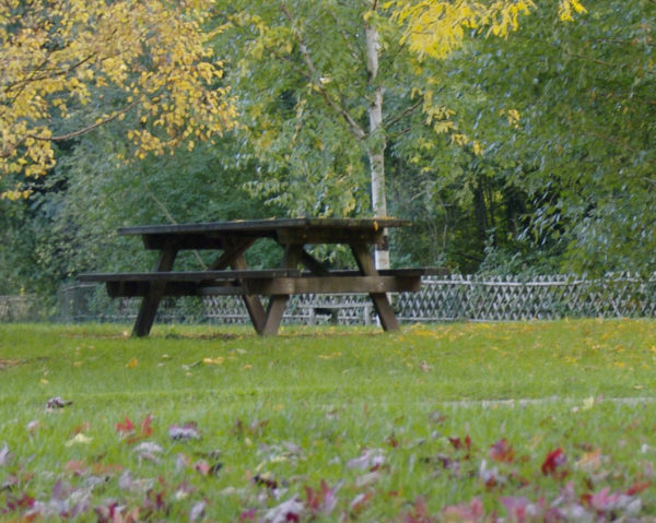 Au grand-air : pique-nique et barbecue
