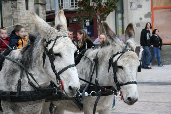 Fêtes de l’Âne