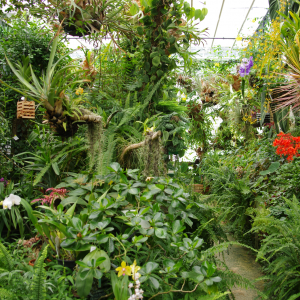 Le parc du Moulin à Tan