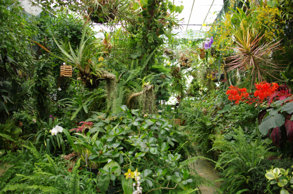 Le parc du Moulin à Tan