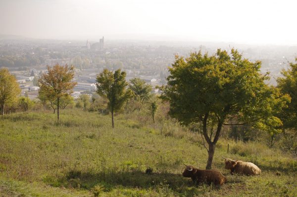 Les trésors naturels : parcs, sentiers et biodiversité