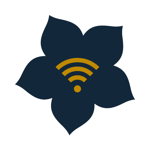 Équipez-vous d’une connexion wifi sécurisée