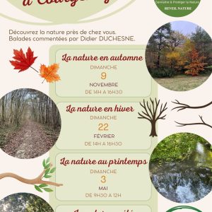 Balade nature et découverte au printemps