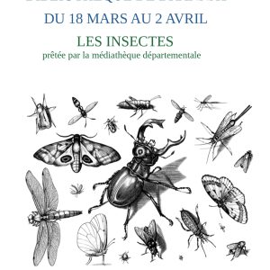 Exposition sur les insectes