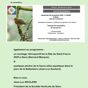 Oiseaux de nos jardins, de nos parcs