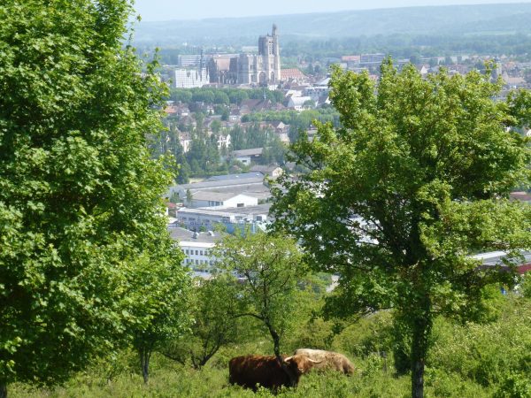 Itinéraires incontournables et nos circuits coups de cœur