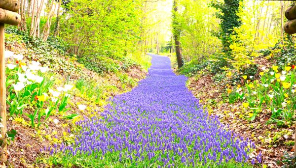Le Sénonais, un territoire engagé dans la protection de l&rsquo;environnement