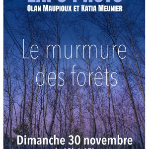 Expo photo « Le murmure des forêts »
