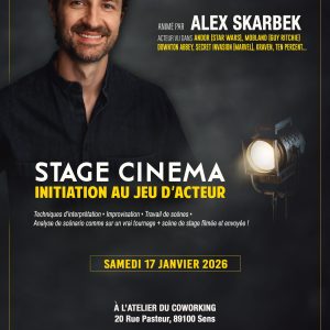Stage de cinéma