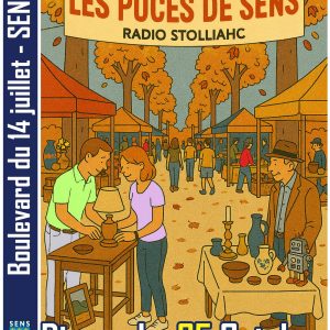 Puces de Sens