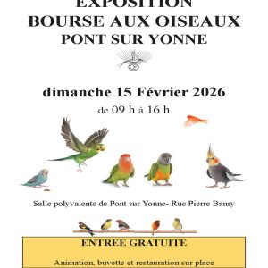 Bourse aux oiseaux