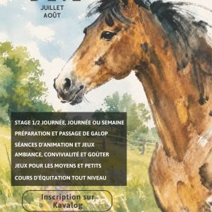 Vacances d&rsquo;été au Haras de Brisac