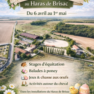 Vacances de Pâques au Haras de Brisac