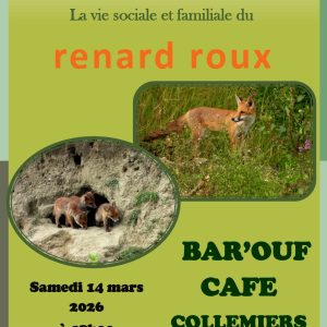 Conférence sur le renard roux