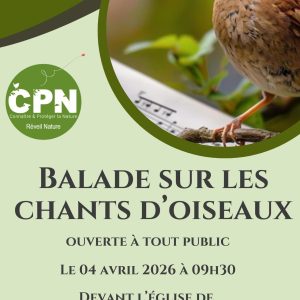 Balade sur les chants d&rsquo;oiseaux