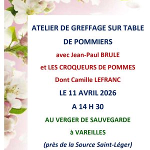 Atelier de greffage sur table de pommiers