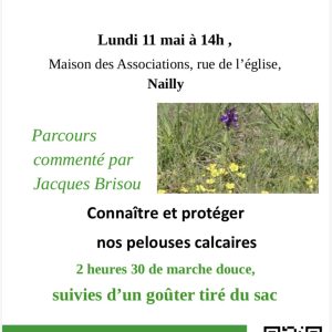 Promenade nature et patrimoine