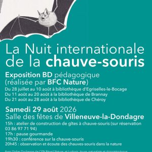 Nuit internationale de la chauve-souris