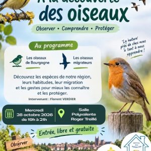 Conférence – À la découverte des oiseaux