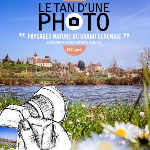 Le Tan d’une photo