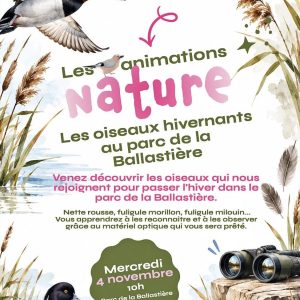 Les oiseaux hivernants au parc de la Ballastière