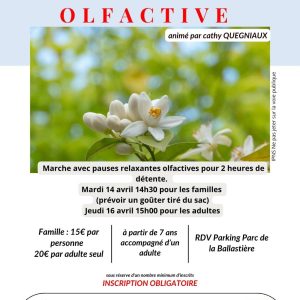Stage vacances promenade olfactive