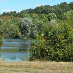 Parcours permanents d’orientation de l’Aire de loisirs des Etangs