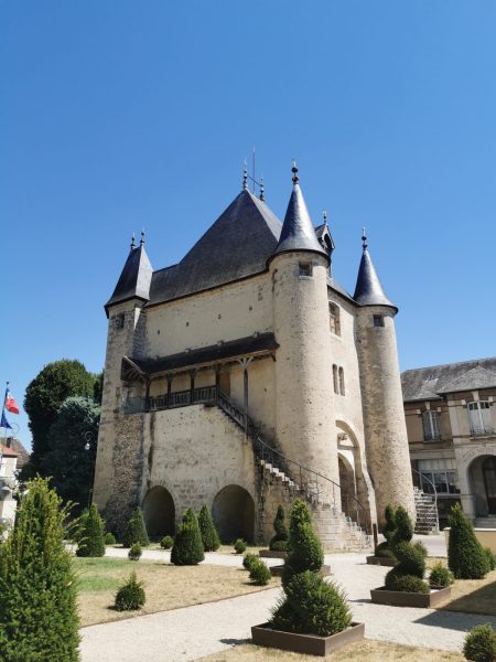 La cité royale de Villeneuve-sur-Yonne