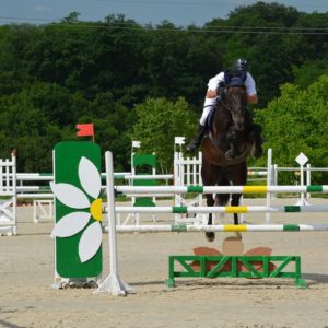 Brisac Equiteam