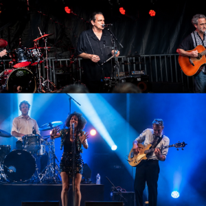 20ème Nuit du Blues : Vincent Bucher Trio – Nicolle & Dîmes
