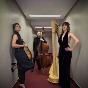 Live Strings Paris