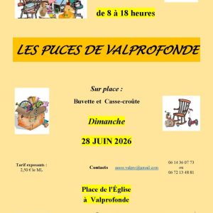 Les puces de Valprofonde