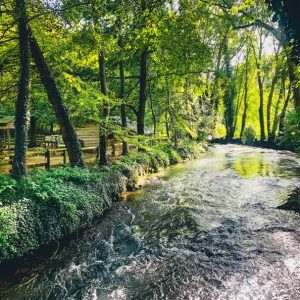 Suivre les traces et indices de la faune