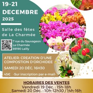 Exposition-vente d&rsquo;orchidée spécial Noël
