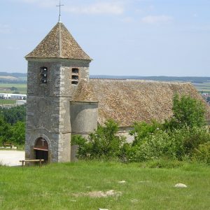 Découvertes des pelouses naturelles
