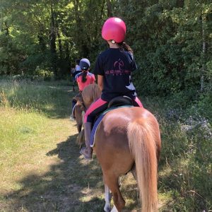 Les Ecuries de Salcy