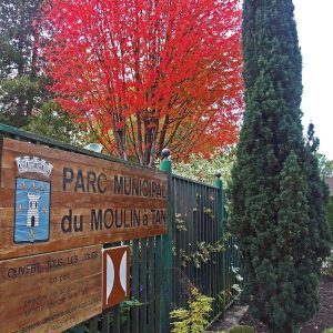 Jeux en pleine nature