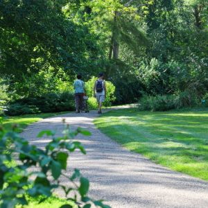 Parc du Moulin à Tan – Journées Européennes du Patrimoine