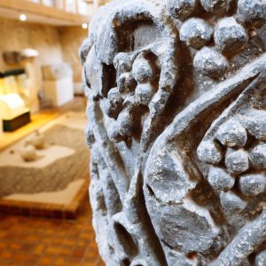Visite guidée : « Le végétal : sacrés symboles et symboles sacrés »