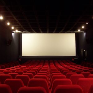 Projection du film “Au pied de la lettre” et débat avec la réalisatrice