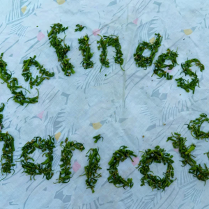 Salon des Arts Potagers